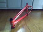 250s Standard Bykes Frame