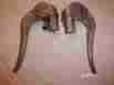 3800 2800 Velosolex Pair Of Brake Levers