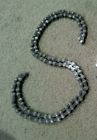 54links Picture Shows C Vintage Prewar Schwinn Cruiser Bicycle Skiptooth Chain Very Nice