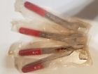 74241 Schinn 1 Nos Schwinn