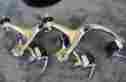 Br-6207 Shimano 600 Ex Mint 1980s Brakes 600ex Ultegra Short Reach 39-49 Mm Clean