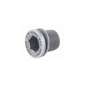 Fc-po007 Campagnolo Ultra Torque Crank Bolt For Steel Ut Spindles