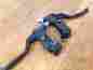 Cb-6200 Suntour Vintage Sun Tour Xc Power Roller Cam Brake Levers