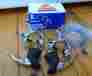 Cb-7000 Nos Suntour Cyclone Brake Set New In Box