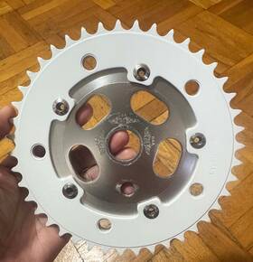 3-wings Gt Bicycles 1987 Pft 3 Winged Stamped Power Disc And 43t White Chainring Bolts