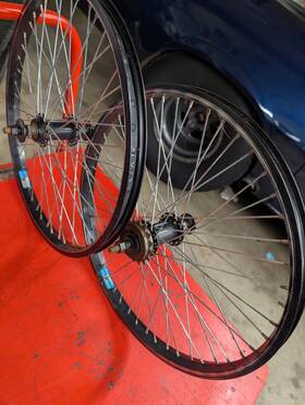 Veroniquerims48 Mongoose Rims48 20in Bmx Spoke 16t Free Shipping