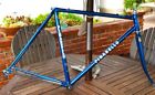 Pinarello Europa Vintage Steel Refinished Extras