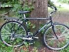 Schwinn Vintage Bicycle Crosscut