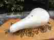 Vl109 Seat Skyway Velo Ultra Rare Hot Saddle Old School Bmx Freestyle