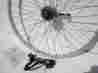 X1.75 66055 Shimano Alex Nexus 3 Spd Hub 26 Rear Wheel Bike Cruiser Bicycle Coaster Brake