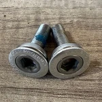 Campagnolo Crank Arm Bottom Bracket Bolts. Fixed Price $29.99.