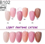 Gel Nail Polish B102 Light Pantone Cateye / 9 Pcs Set 7 Ml. Fixed Price $18.13.