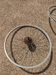 Sun Rims AT18 26" Bike Wheel FH-RM40 Rear Hub 135MM 36 Spoke. Fixed Price $29.00.