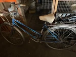 Ward Hawthorne Bike. Fixed Price $100.00.