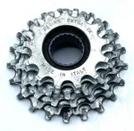 Regina Extra Bx Vintage Road Bike 6 Speed Freewheel 13-21. Fixed Price $29.74.