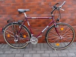 Wheeler Trekking 6300 Shimano 400 Cx Tange Infinity True Temper 1992 Araya. Fixed Price $590.00.