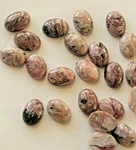 18X13 Mm Light Pale Natural Charoite Cabochon High Quality 10 Pieces. Fixed Price $20.00.