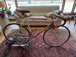 Bianchi Race Bike (56 Cm) Amelio Extremely Rare. Fixed Price $1500.00.