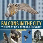 Falcons The City: Story Of Peregine Family: Peregrine. Fixed Price $37.50.