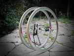 Campagnolo Shamal 12 Hpw / 8SP Shimano Clincher Record #velowizard. Fixed Price $1001.51.