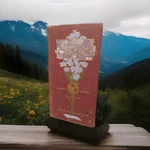 Photo-drama Of Creation 1914 Book 1ST Bible Deluxe 400 Illust Rare Beautiful. Fixed Price $175.00.