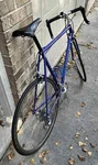 Vintage Schwinn Paramount Pdg Road Bicycle With Ultegra 600 Sti. Fixed Price $999.00.