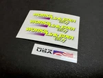 Works Link Decals For 1995 / 1996 Auburn CR20RX (bmx Racing Bike). Fixed Price $22.95.