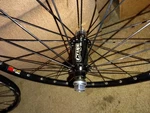 20" Mini Wheels 28 Hole Crupi Hubs Sun Ici Hoops Titanium Axles (for.... Fixed Price $182.00.