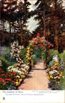 Flower Border Grove Place Goudhurst Kent Gardens Oilette Postcard C1910. Fixed Price $12.99.