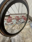 650C Velocity Deep Rim 32 Hole Made In Australia -campagnolo Hub. Fixed Price $120.00.