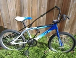 2004 Redline Rogue Flame Bmx Bicycle. Fixed Price $249.99.