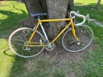 Vintage Taiwan Centurion Accordo Road Bike Yellow Shimano Gears Anatomic Seat. Fixed Price $100.00.