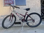 Schwinn SX2000 Aluminum Dark Red Bike. Fixed Price $150.00.