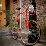 Tall 66CM, 1973 Schwinn Paramount Campagnolo, Brooks Saddle, Ready To Ride!!!. Fixed Price $1200.00.