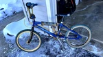 Se Racing Pk Ripper Bmx Bike Custom Build Sugino Cranks- Gold Rims Blue. Fixed Price $3000.00.