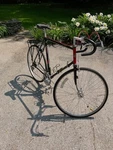 Vintage Motobecane Super Mirage French Steel Road Bike, Rare, Collector. Fixed Price $295.00.