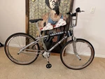 Hutch Trick Star 26 Old School Bmx Bike Silver Steel Frame Vintage Bicycle. Fixed Price $2850.00.