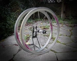 Campagnolo Shamal 12 Hpw / 8SP Clincher Record #velowizard. Fixed Price $1001.51.