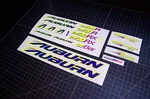 Decal Set For 1995 / 1996 Auburn CR20RX (bmx Racing Bike). Fixed Price $69.95.
