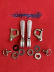Vintage 70S Campagnolo Old Logo Record 1013/5-6 Speed Down Tube Control Levers. Fixed Price $60.00.