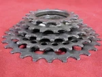 1970 Vintage Regina Extra Speed Freewheel 14-16-20-24-28 Italian 35 F.. Fixed Price $38.95.