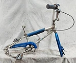 1975 Schwinn Thrasher 20" Kids Bmx Bike Single Speed Ss Silver Steel Old-school. Fixed Price $270.68.