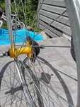 Alex YO2000 Mtn Bike Rim (rear). Fixed Price $55.00.