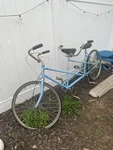 Schwinn Tandem Bicycle 5 Speed 1970. Fixed Price $200.00.