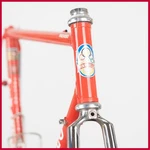 Pinarello Treviso Steel Vintage Road Bike Frameset Lugged Campagnolo. Fixed Price $849.00.