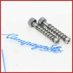 Nos Campagnolo Rear Dropouts 3MM Screws Register Adjuster Vintage 70S 80S Old. Fixed Price $39.00.